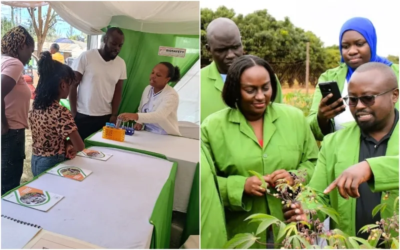 National Biosafety Authority (NBA) continues to sensitise Kenyans on its mandate in regulating GMOs. Photo: Biosafety Kenya. Source: X.