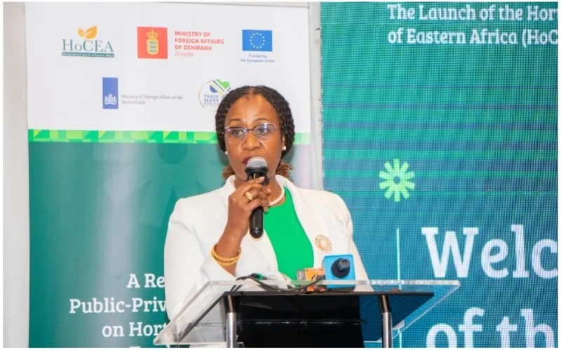 HoCEA Chairperson Dr Jacqueline Mkindi. Photo: Lily Ronoh. Source: Original.
