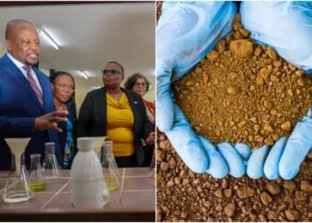 Soilfer: Kenya launches national soil testing drive to help farmers choose best fertiliser for planting