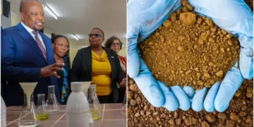 Soilfer: Kenya launches national soil testing drive to help farmers choose best fertiliser for planting