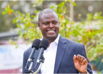 Ndindi Nyoro: Kenyans are ready to buy Safaricom shares, Vodacom should return them immediately