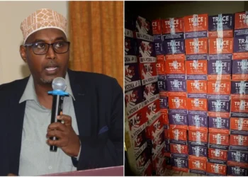 Yussuf Osman Ahmed is the Director of Enforcement at the Anti-Counterfeit Authority (ACA). Photo collage: ACA_Kenya. Source: X.