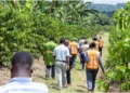 Uganda’s Zigoti Coffee eyes regional expansion in Equity-backed cross-border trade push