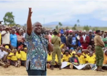 Kiminini MP Kakai Bissau backs registration of Kenyans in Uganda as voters
