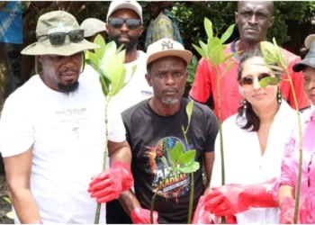 Control construction near ocean beach, Mombasa County Government urged