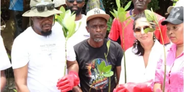 Control construction near ocean beach, Mombasa County Government urged